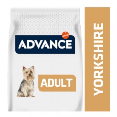 6 Best Dry Dog Food for Yorkies in 2023 3 7443 advance yorkshire terrier