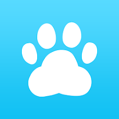Puppies