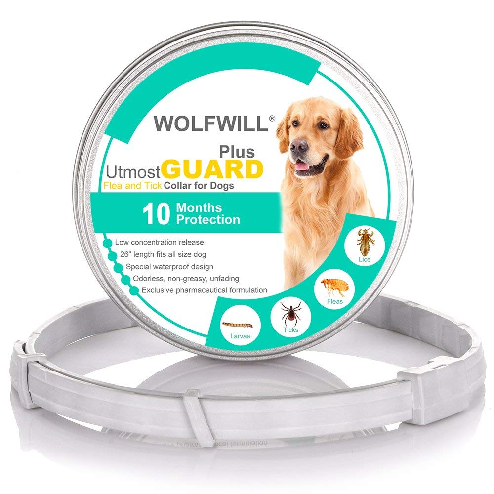 best flea and tick collar for dogs best flea and tick collar for dogs