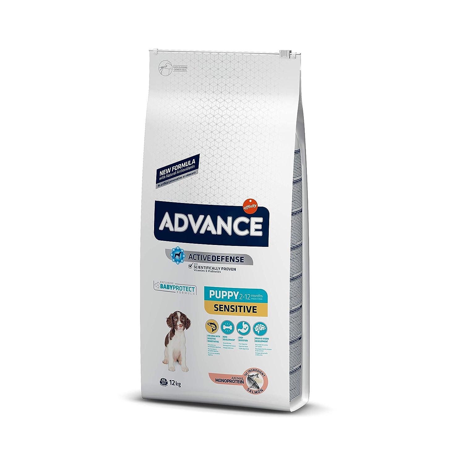 Best Salmon Dog Food