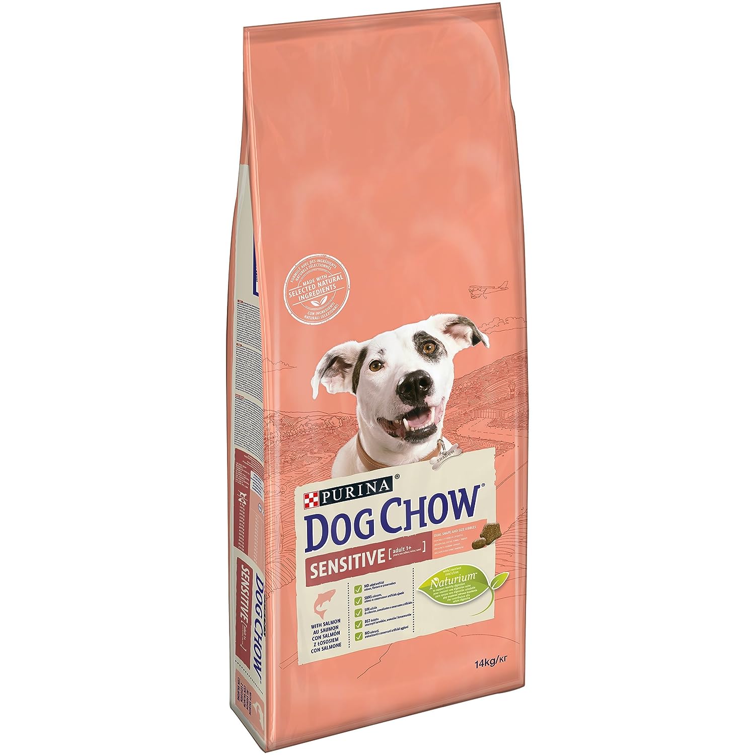 Best Salmon Dog Food