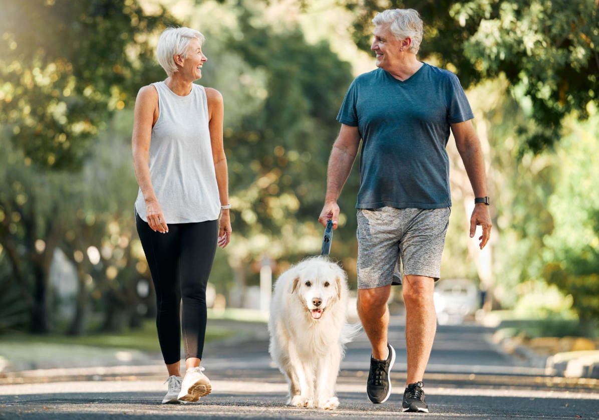 Is 74 Too Old to Get a Puppy? 3 Socialization and Mental Stimulation