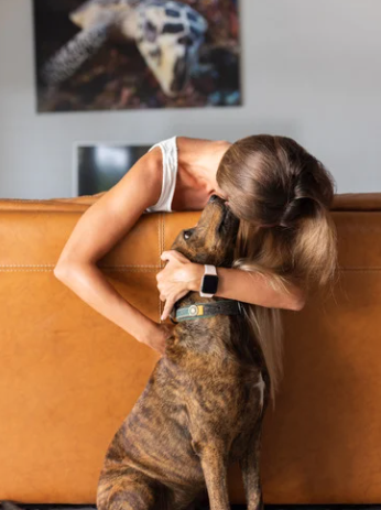 Benefits of Emotional Support Dog Benefits of Emotional Support Dog