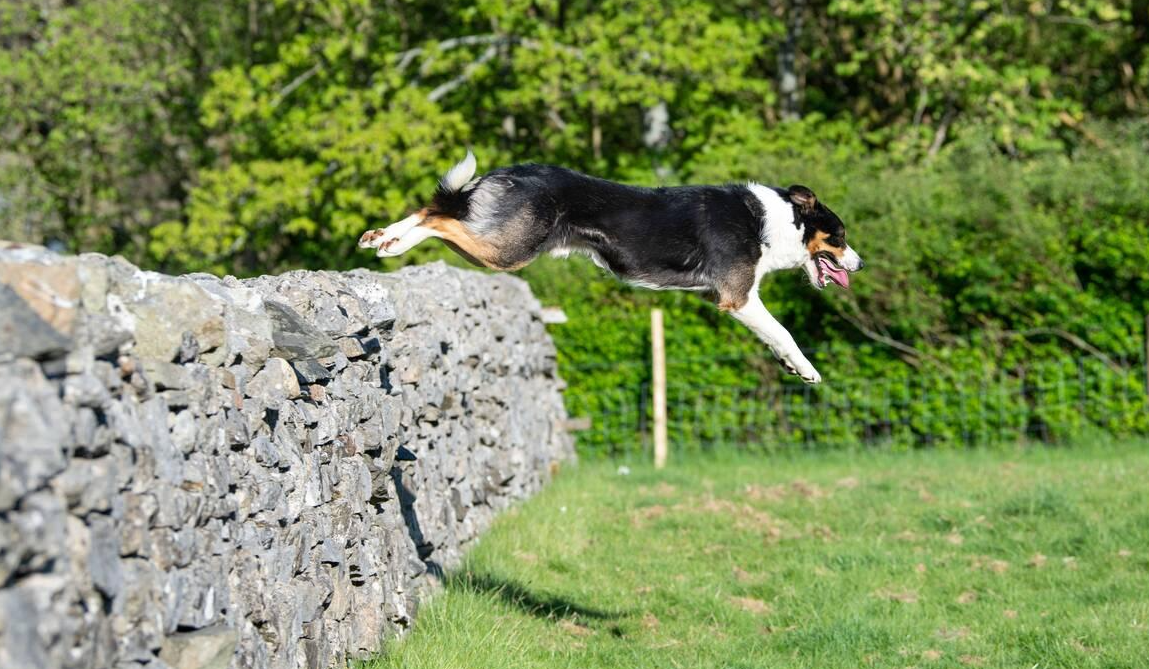 Running Up Walls