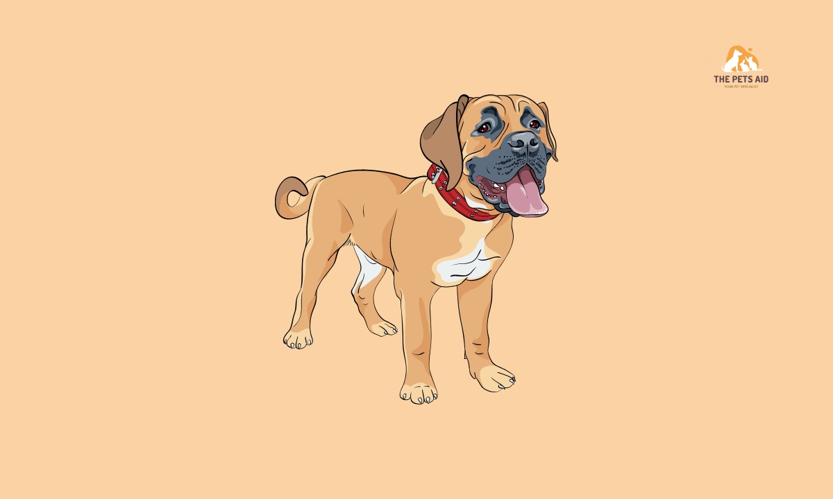 Top 8 Dogs That Can Kill a Pitbull – (Head to Head) 4 Boerboel