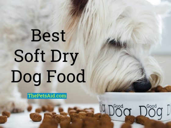 10 Best Soft Dry Dog Food of 2024 - (For Dogs Without Teeth)