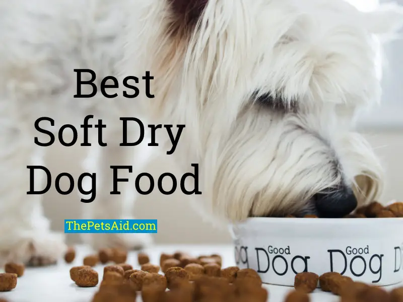Best Soft Dry Dog Food