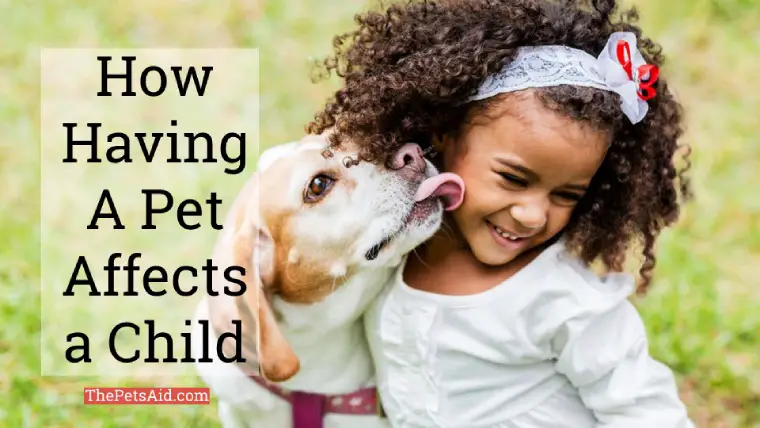 How Having a Pet Affects a Child