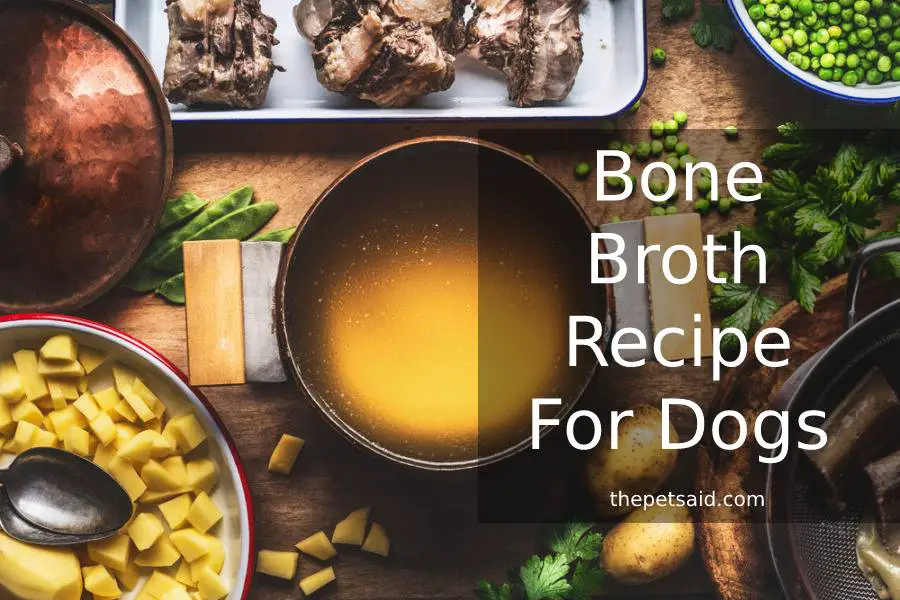 Bone Broth Recipe for Dogs