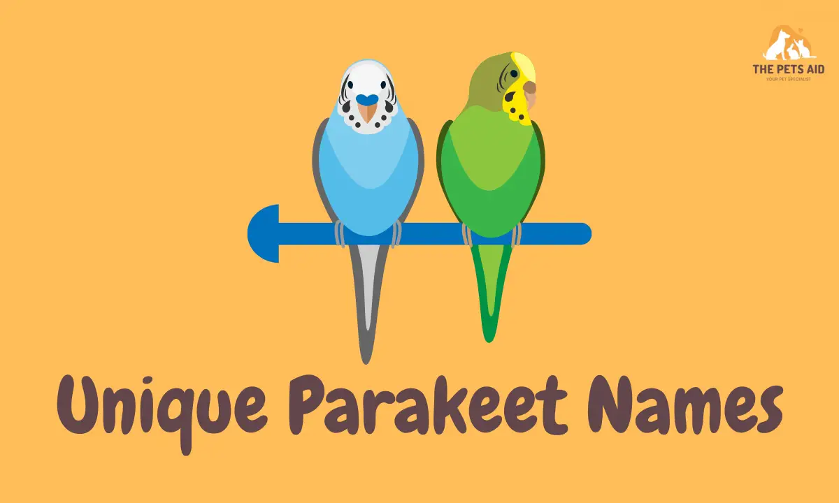 Parakeet Names