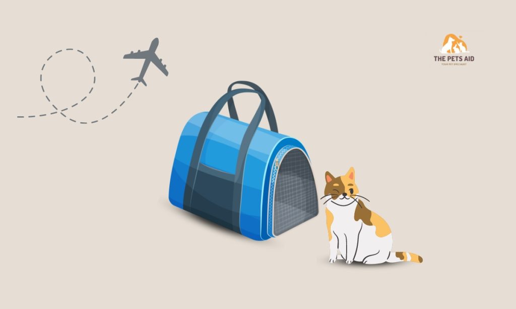 5 Best Airline Approved Pet Carriers Review In 2023   Airline Approved Pet Carriers 1024x614 