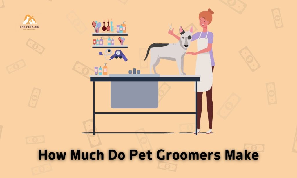 how-much-do-pet-groomers-make-explained