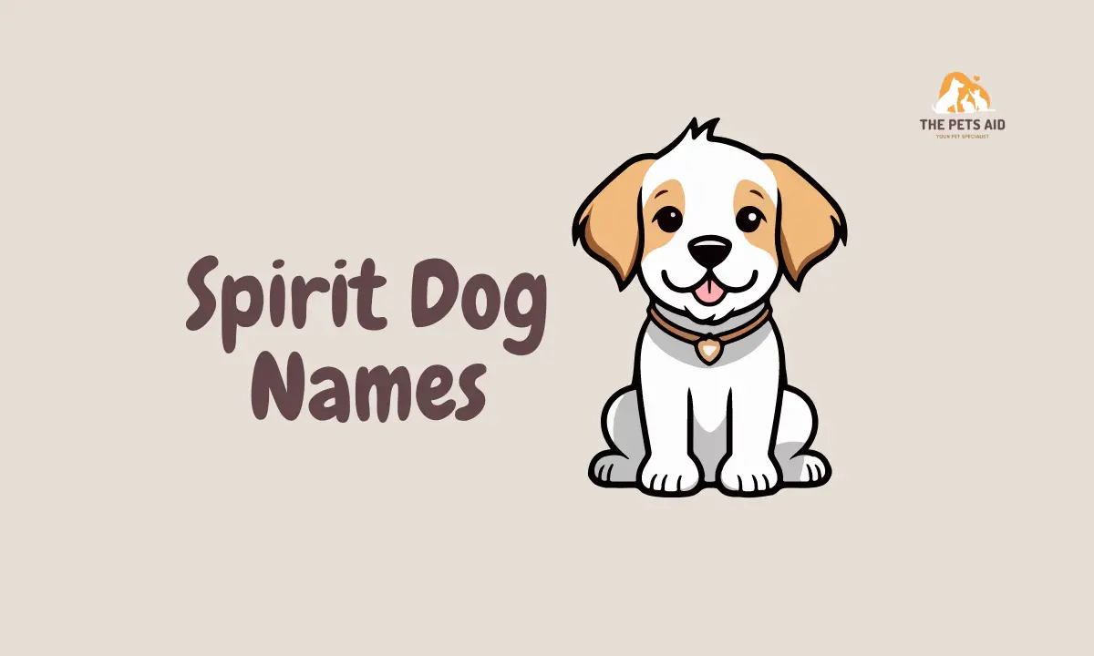 Dog Names That Mean Spirit