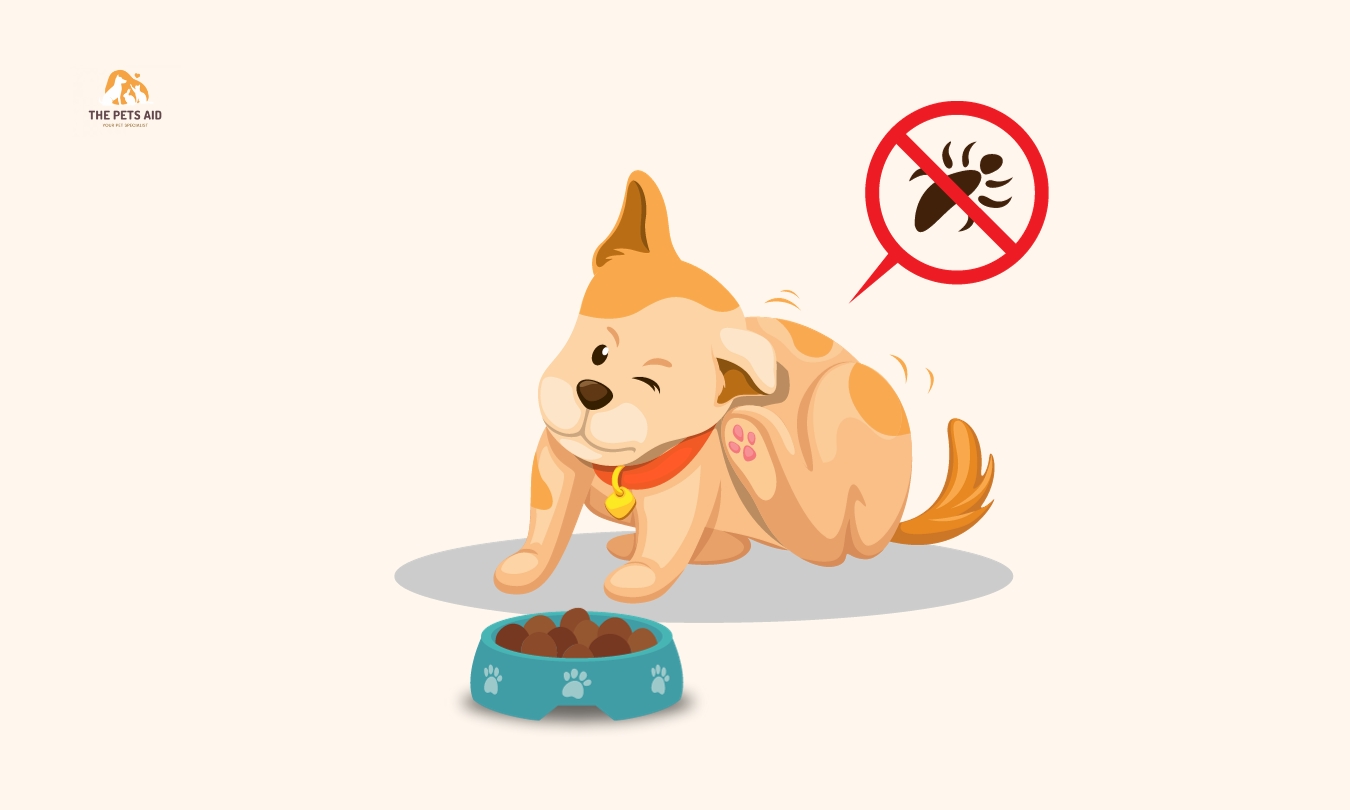 5 Best Dog Food for Dogs With Allergies in 2023 – (Review)