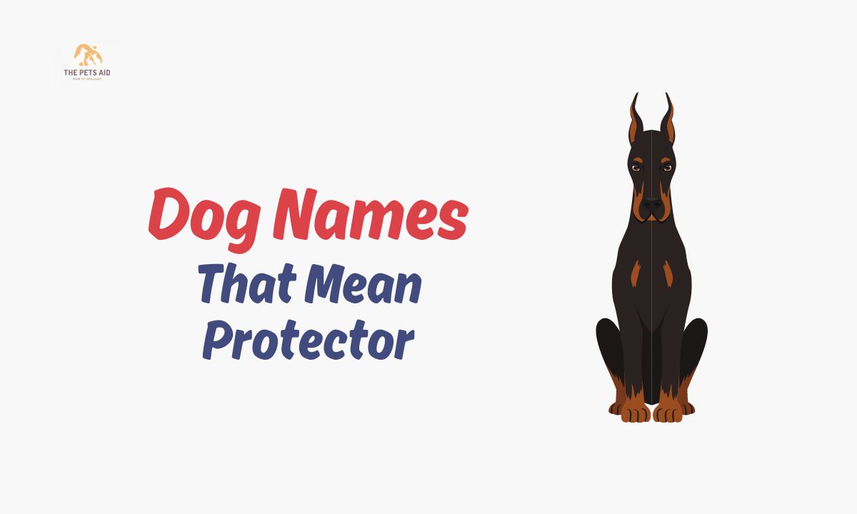 Dog Names That Mean Protector