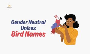 Unisex Bird Names