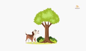 Dog That Can Climb Trees