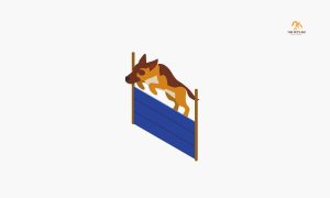 Dog Running Up Wall and Jumping