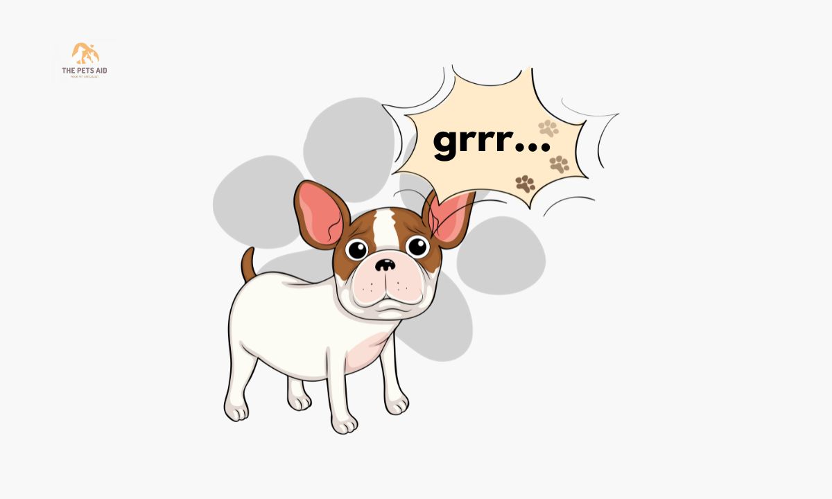 Will Dogs Ever Be Able to Talk