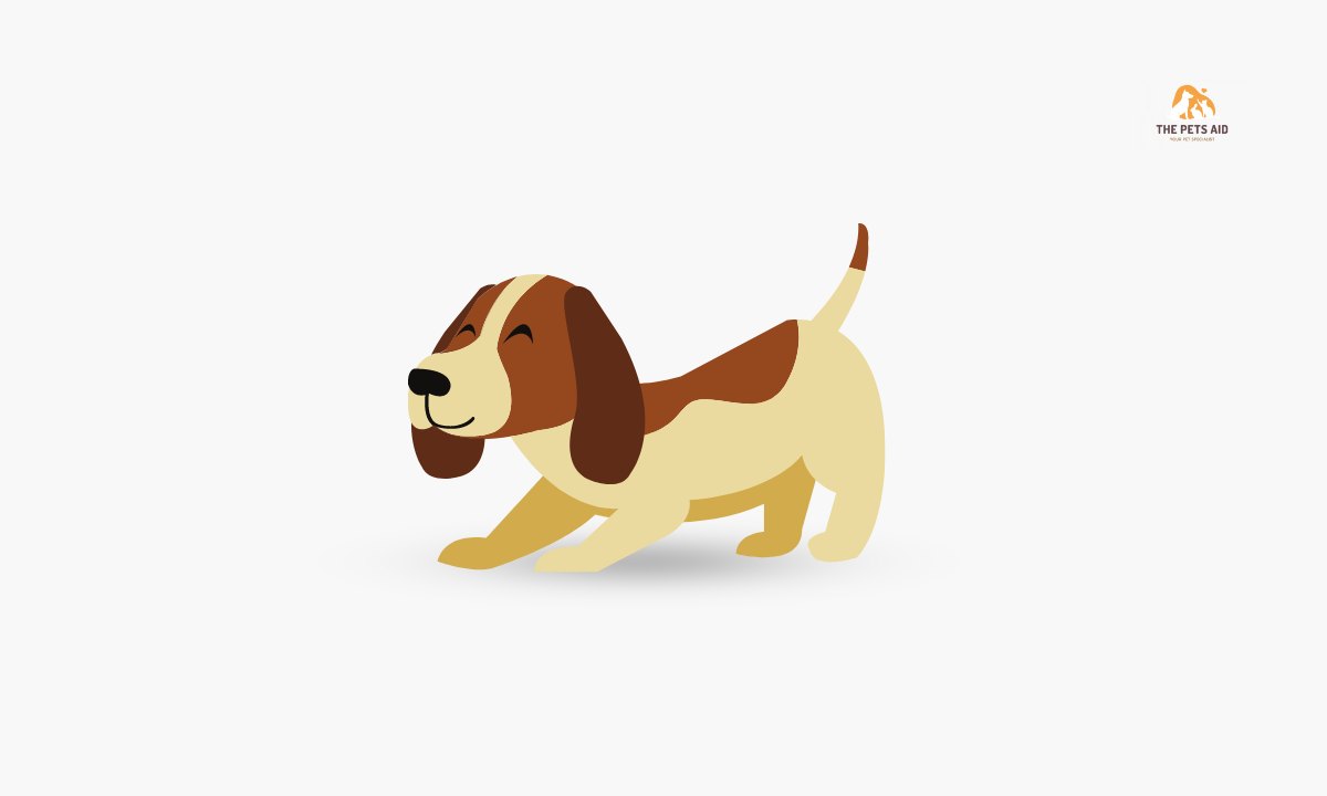 Independent Dogs That Can Be Left Alone