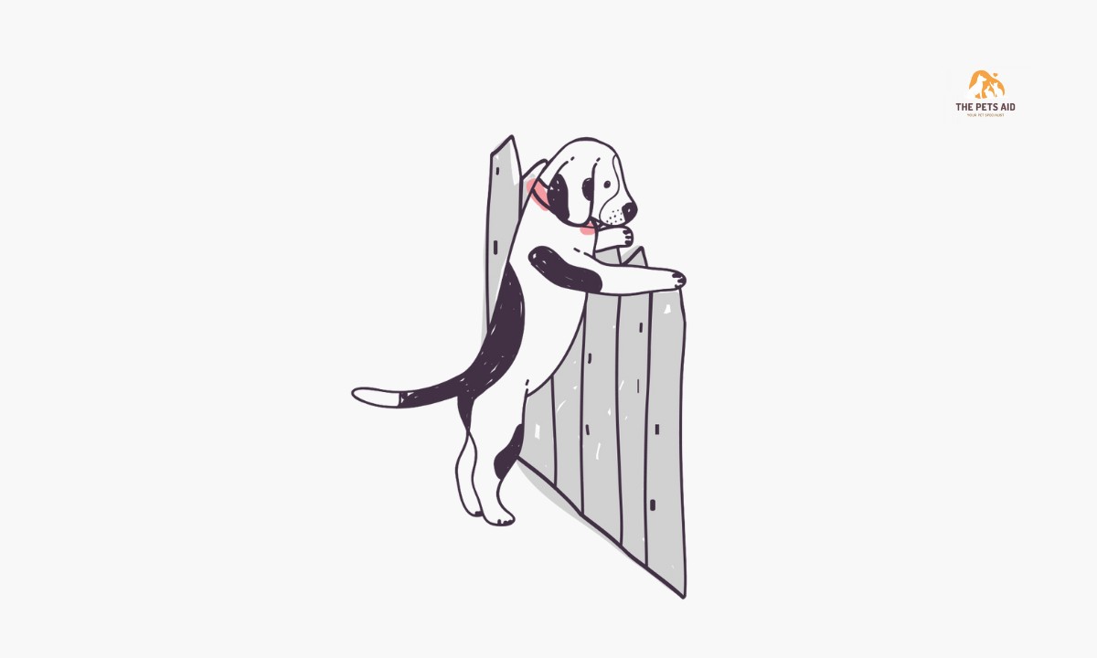 Dogs That Can Climb Walls