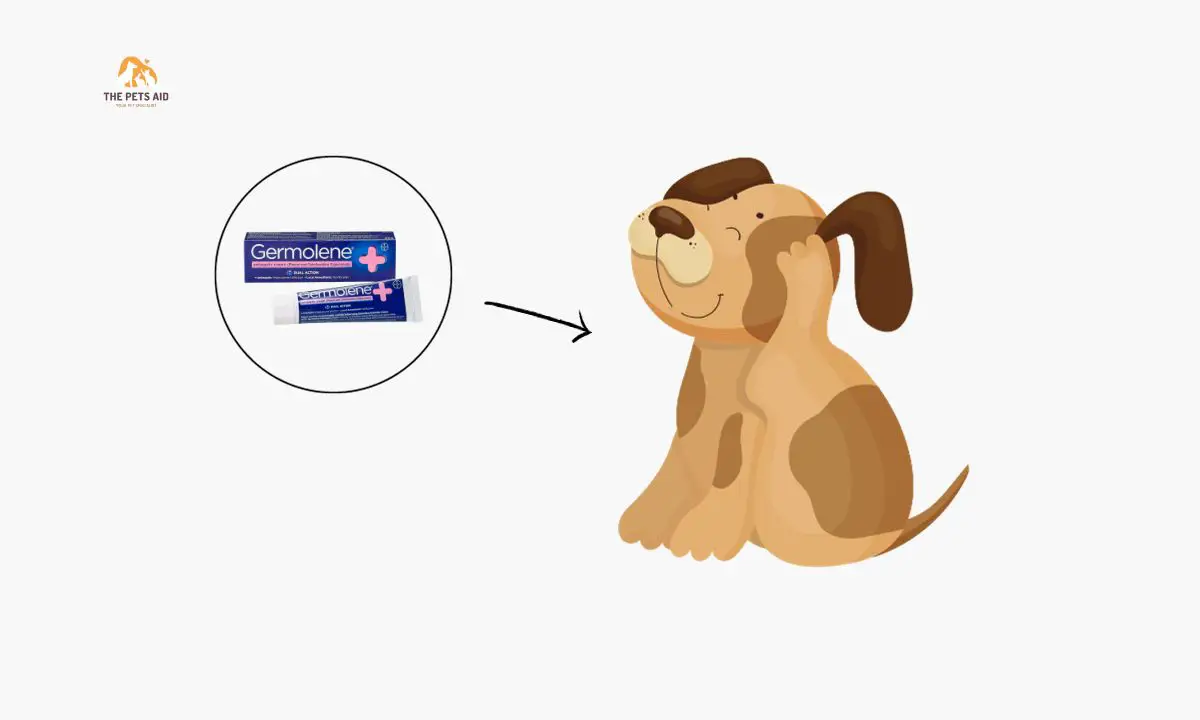 Can You Use Germolene on Dogs