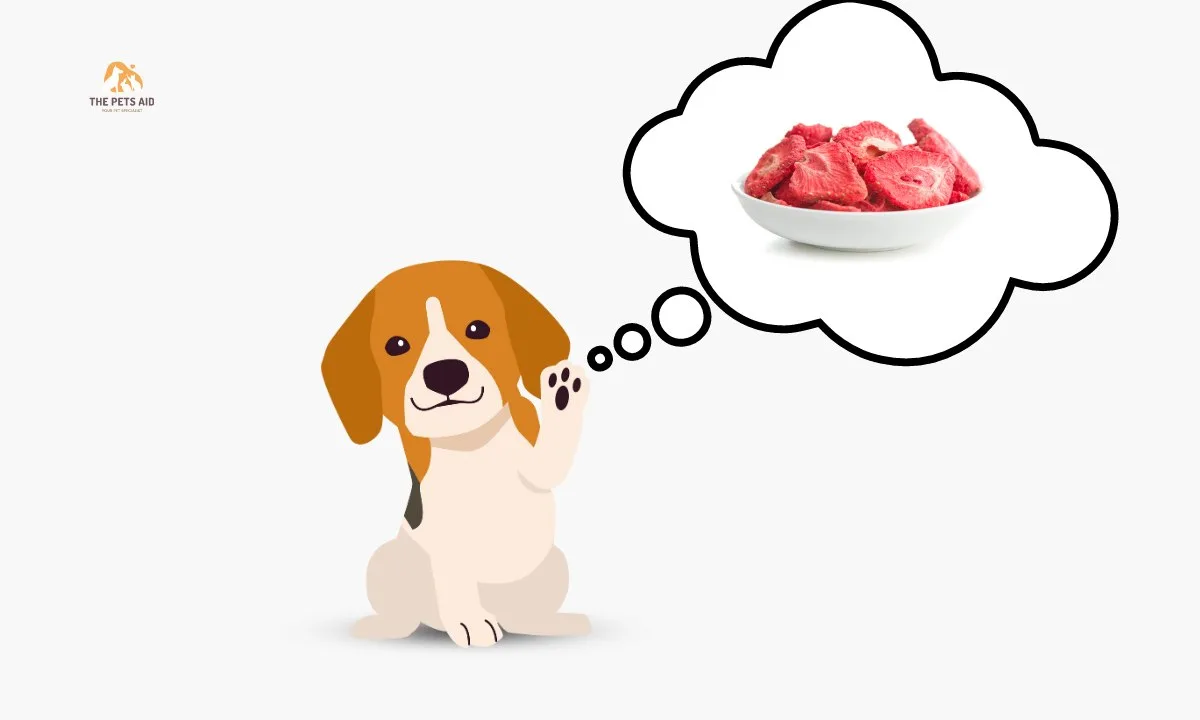 Can Dogs Eat Freeze Dried Strawberries