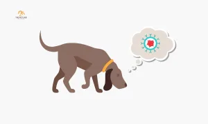 Can Dogs Sniff Out Cancer